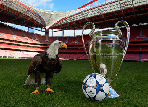 也服务内容 也服务内容