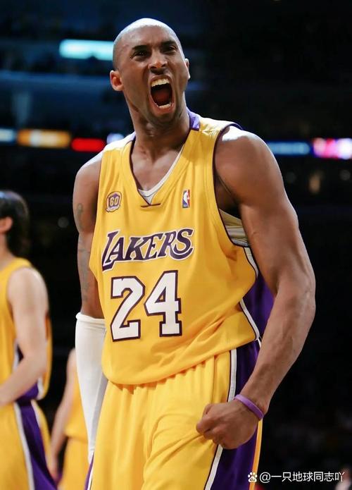 老虎队仍能 老虎队仍能